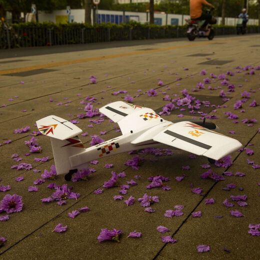 Aircraft Sawang Seagull Bionic bionic oiseau d'oiseau d'oiseau d'air Hélicoptère Hélicoptère Plan de parc à ailes fixes à double moteur bon