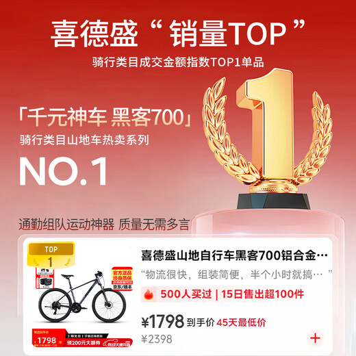 喜德盛（xds）山地自行车黑客700铝合金车架2025款24速油压碟刹成人单车 灰/黑17