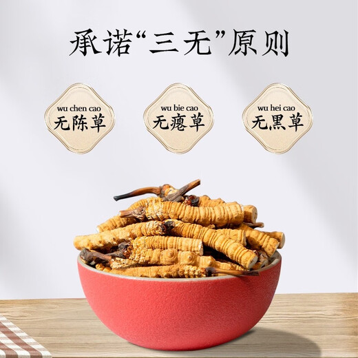 冬虫夏草断草大断草送父母长辈老人滋补营养品年货礼品断虫草 10克断虫草
