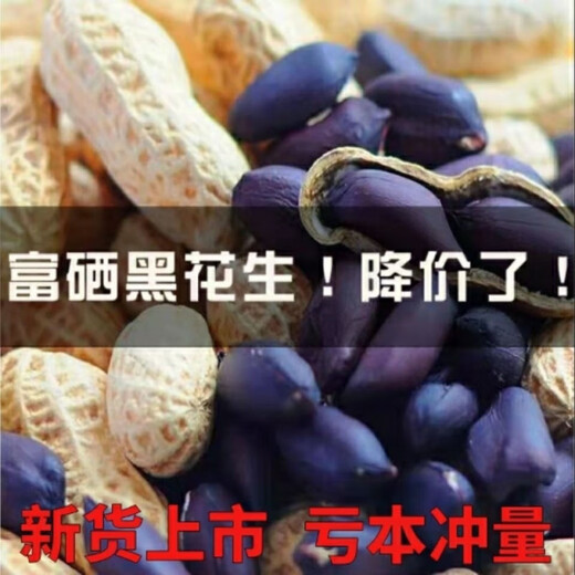 Black peanut seeds, sown in spring and summer, purple and black peanut seeds, black seed peanuts, original peanuts for field use, net weight in shell, Jin Jin equals 0.5 kilograms, 1000 grams