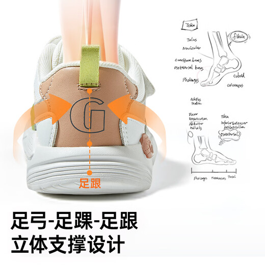 Genopu Baby Toddler Shoes Spring and Autumn Children's Fashionable Sports Functional Shoes Soft Sole Breathable Children's Shoes for Boys and Girls GY1628 White/Green/Brown/Gray 25.5 160mm Suitable for Foot Length 156-165mm