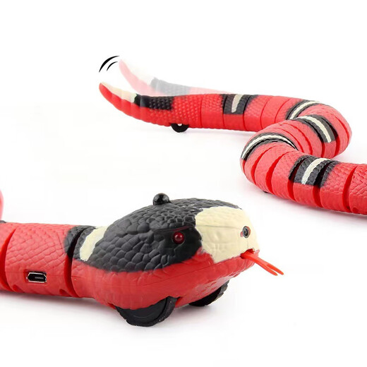 Electric Induction Cat Toy Cat Toys Cat Supplies Self-Enjoy Cat Toys Relieve Bores and Snake Electric Rechargeable Remote Control Ladybug 9922