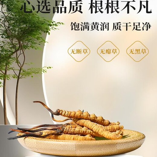 
Beijing Tongrentang Cordyceps sinensis Tibetan Snow Cordyceps 2 gram dry goods Cordyceps gifts 50 50 gift boxes