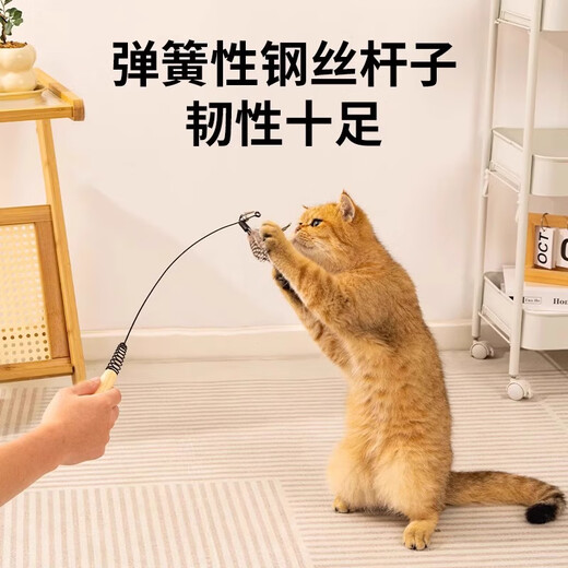 Qioh CFA competition level cat toy cat toy small flying insect feather replacement head resistant to scratching and biting kitten supplies self-entertainment to relieve boredom cat toy + small flying insect replacement head * 3