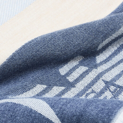 EMPORIO ARMANI/Armani official flagship New Year gift new women's contrast striped shawl scarf for autumn and winter F9026-blue/beige one size