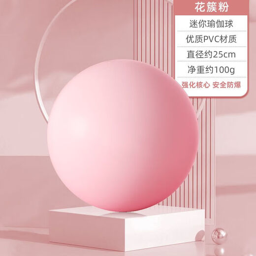 Aiyang Pilates Small Ball Thickened Fitness Mini 25cm Pregnant Women Yoga Children's Sensory Training Ball Rehabilitation Pilates Small Ball Sky Blue 25cm