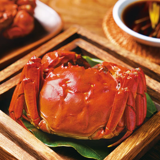 Live crabs, freshly picked from Beijing, fresh hairy crabs, 3.5 taels of male crabs, 2.5 taels of female crabs, 4 pairs of 8 crabs, crabs sent directly from the source
