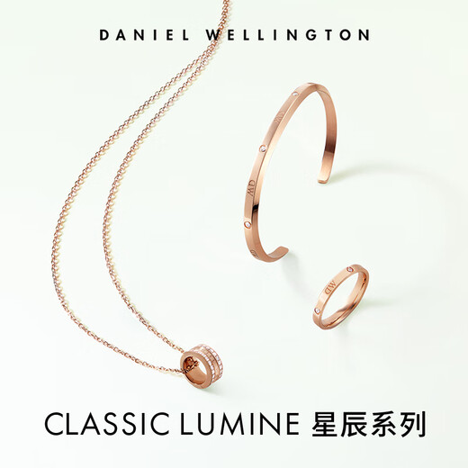 Daniel Wellington dw ring for women Star series couple ring elegant silver No. 56 birthday gift for girlfriend DW236