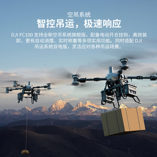 DJI FlyCart100 industrial large-scale carrier drone, load capacity 65/80 kg, FC100 all-in-one variable frequency charging station version package, including aerial crane system flagship version