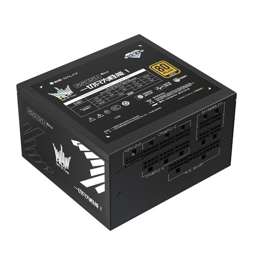 影驰名人堂GS850黑钻限定版金牌全模组850W电脑电源（全日系电解电容/atx3.1/原生PCIE5.1/风扇启停）