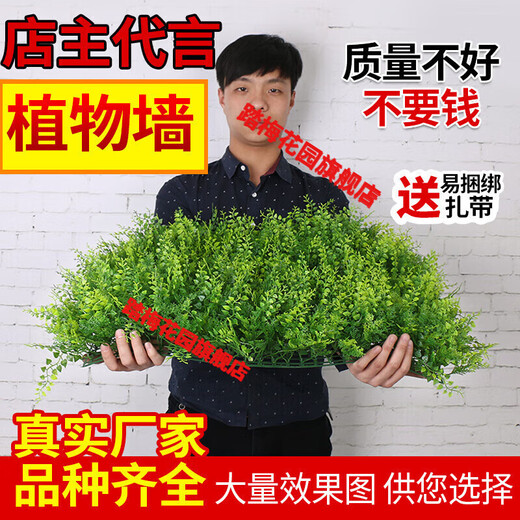 Wall simulation plant lawn wall decoration balcony indoor background wall plastic artificial artificial turf