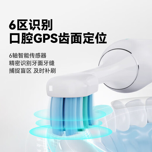 ROAMAN Bear smart screen electric toothbrush with tooth surface recognition, recommended by dentists for deep cleaning, whitening and gum protection, as a birthday, Christmas and New Year gift for male and female friends, T10Pro Gray