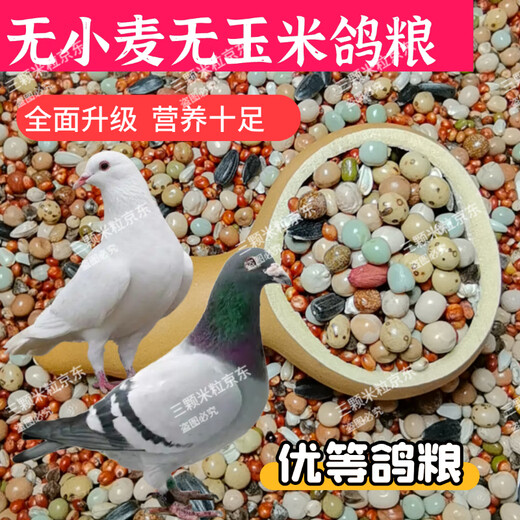 New pigeon food 20 Jin Jin is equal to 0.5 kg. Corn-free pigeon food with corn pigeon feed racing nutrition pigeon food for adult and young pigeons 5 Jin Jin is equal to 0.5 kg. No wheat and corn high-quality pigeon food 20 Jin Jin is equal to 0.5 kg.
