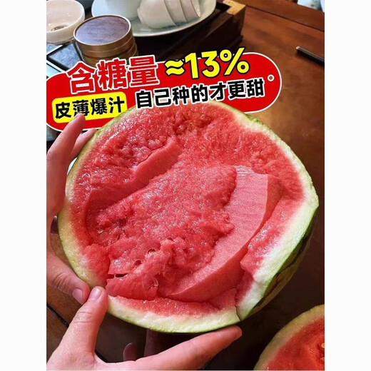 8424 Kirin watermelon seeds, seedless, high-yield rock sugar, lazy watermelon seeds, southern four-season vegetable and fruit seeds, Huayu original color pack, 2 packs, about 100 capsules
