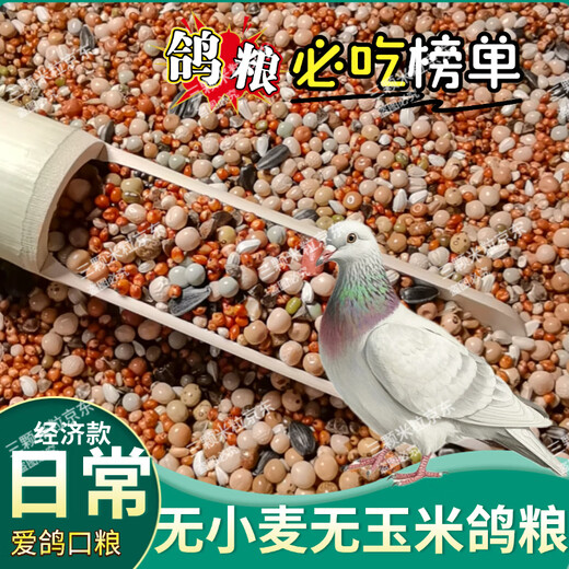 New pigeon food 20 Jin Jin is equal to 0.5 kg. Corn-free pigeon food with corn pigeon feed racing nutrition pigeon food for adult and young pigeons 5 Jin Jin is equal to 0.5 kg. No wheat and corn high-quality pigeon food 20 Jin Jin is equal to 0.5 kg.