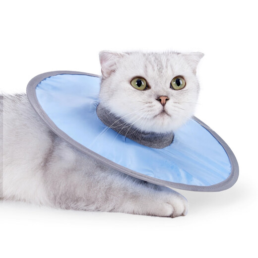 MPPMCK pet Elizabethan sterilization care collar cat and dog grooming collar anti-licking and biting small dog headgear light blue L (recommended 6-10 Jin Jin equals 0.5 kg)