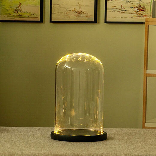 Blind box display box eternal flower glass cover display box diy hand-made decorative desktop ornaments dried flowers transparent dustproof 8*10+ log flat bottom trough light