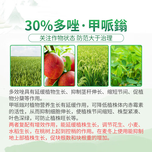 Guoguang Jinmeirui 30% polybutrazol, plant dwarfing agent, paclobutrazol, Ophiopogon japonicus, inhibiting agricultural growth regulator 1000g (12 bottles in the box)