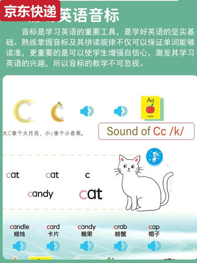 蓝彩何儿童26个英文字母点读书幼儿早教英语单词学习机中英双语有声绘本 专业学拼音点读书--充电款