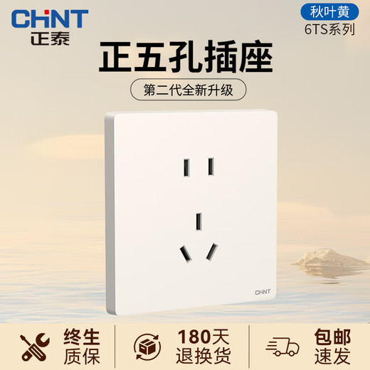Chint (CHNT) switch socket panel type 86 concealed household five-hole socket whole house package frameless large board network socket wall panel NEW6TS autumn leaf yellow positive five-hole socket