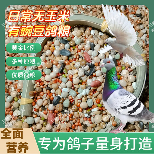 New pigeon food 20 Jin Jin is equal to 0.5 kg. Corn-free pigeon food with corn pigeon feed racing nutrition pigeon food for adult and young pigeons 5 Jin Jin is equal to 0.5 kg. No corn pigeon food with peas 20 Jin Jin is equal to 0.5 kg.