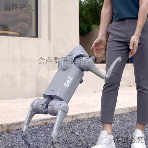 Unitree Spot Unitree Voice AI Big Model Roboter Dog geprägt intelligente bionische Begleiter vierbeinige Roboter Go2-pro+ Fernbedienung