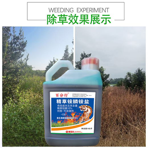 100 % Tigeressenz, Glufosinat-Ammoniumphosphat, echtes Herbizid, Spermaglufosinat, Glufosinat-Ammoniumphosphat, Obstgarten-Herbizid, Pestizid, 5 kg