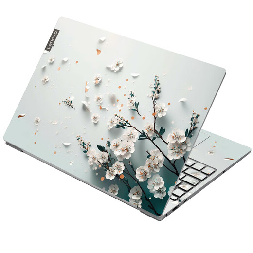 Miaopu Le Japan Importsed Califfer 2025 Новая ноутбук компьютерная пленка, подходящая для Tianxuan Dell Star Lenovo xioxin XM1047 [Стандартная версия четвертая сторона] Модель сообщений