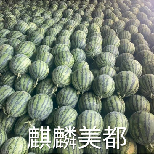 Kirin Meidu watermelon seeds with thin skin, crack-resistant, few seeds, super sweet and crispy 8424 round watermelon Meidu watermelon seeds, 200 pieces original Kirin Meidu