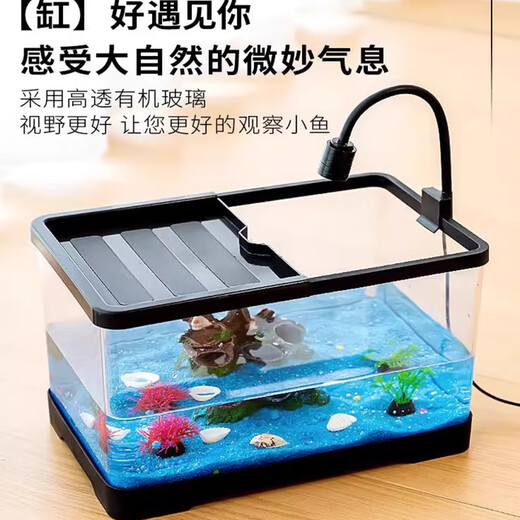 Turtle tank household landscaping filter circulation sun terrace climbing platform acrylic ecological mixed fish tank small turnover box water changer