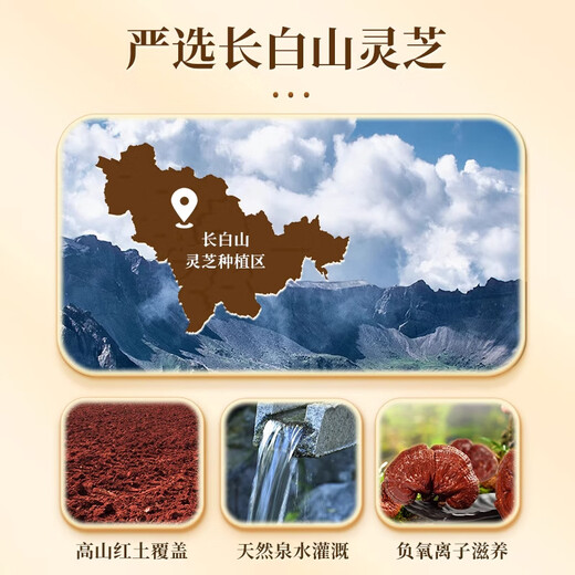 Beijing Tongrentang Genuine Broken Ganoderma Spore Powder Oil Changbai Mountain Ganoderma lucidum Linzhi Spore Powder Beijing Tongrentang_Blue Hat Certified Online Supermarket Ganoderma Spore Powder 1 Box 40g Online Supermarket