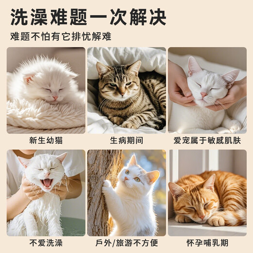 OUOETY Pet Disposable Gloves Wet Wipes Cat and Dog Wet Wipes Thickened Large Pack Bath-Free Dry Cleaning Cleaning Deodorizing Wet Wipes 2 Large Packs 100 Pet Cleaning Gloves