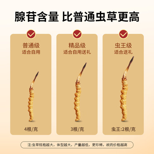 Tongfu Cordyceps Sinensis 2 Roots/G 20g 40 Корни подарочная коробка, питательные пищевые добавки, подарки для старейшин
