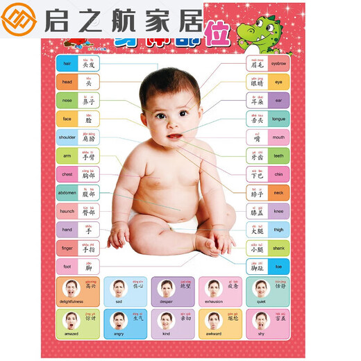 
Children's Early Education Enlightenment Wall Sticker Baby Recognizing Chinese Characters Children Reading Pictures and Reading Literature Silent Wall Paintings Purple Red Clear Water Painting Card Numbers