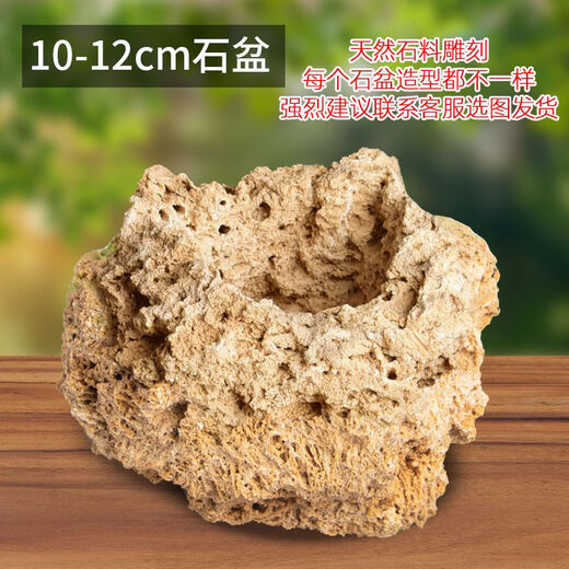 Absorbent stone flower pot, natural strange stone, absorbent stone, upper water stone, original stone, stone pot, calamus, succulent potted plant, bonsai micro landscape, absorbent stone, flower pot 10-12cm (no gifts)