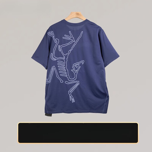 Arc'TERYX Arc'TERYX Arc'Bird Print Antibacterial Moisturizing Wicking Round Neck T-shirt 9721 Tatsu/Stone Green Antique Green S