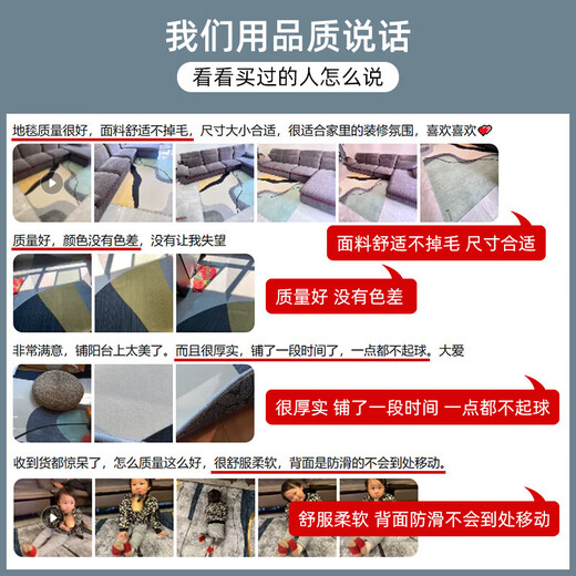 关东宜家地毯客厅2025新款免洗可擦沙发地垫卧室感家用轻奢地毯 简约1123号 240cm*400cm (定制不退不换)