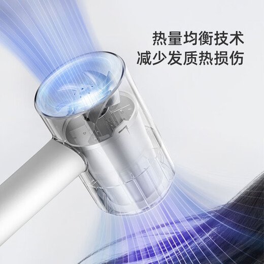 飞科吹风机家用负离子护发宿舍用学生可折叠大功率不伤发电吹风筒 飞科吹风机青春色fh6296赠卷梳
