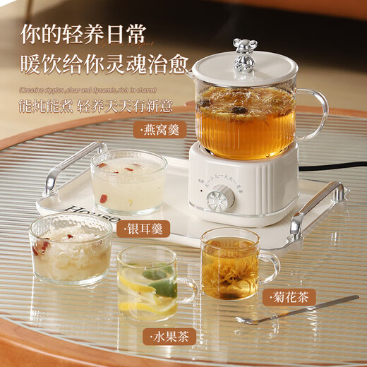 Health kettle, kettle, hot water kettle, thermostatic kettle, teapot, teapot, all-in-one, fully-glass, fully-automatic, small household, multifunctional office, large capacity, random color 0.6L