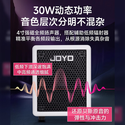 Zhuole electric bass speaker 2025 new BA-30 portable OTG live broadcast recording and singing full-range analog dynamic sound BA-30 black + JM60 metronome + gift bag