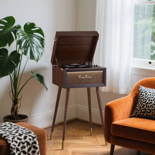 Duhuanshi retro gramophone floor-standing multi-functional LP vinyl record player Nordic antique home HiFi Bluetooth audio decorative ornaments holiday gifts vertical record player + Teresa Teng vinyl record player