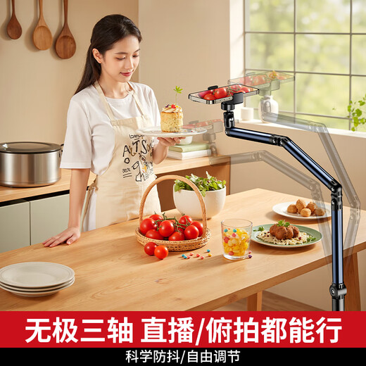 Xuanyan's special bracket for live broadcast mobile phone, floor-standing professional overhead shooting mobile phone stand, mirror live broadcast stand with radiator, multi-functional shooting support stand for Internet celebrity anchors, calligraphy, 1.7-meter double-arm mobile phone model