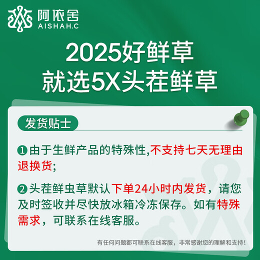 阿依舍新鲜虫草0.5-0.6g/根100根头茬鲜冬虫夏草补品【源头直发】包邮