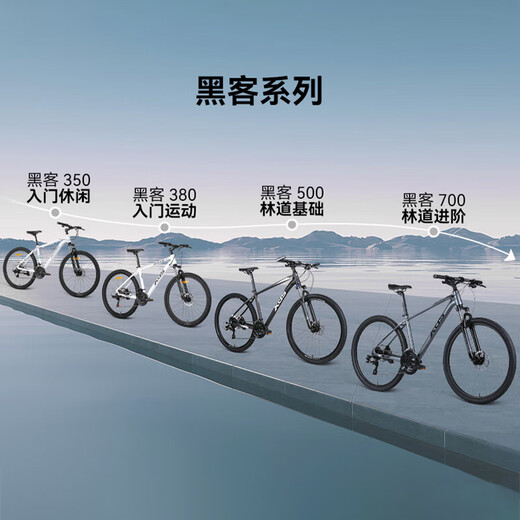 喜德盛（xds）山地自行车黑客700铝合金车架2025款24速油压碟刹成人单车 灰/黑17