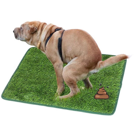 Pet Lawn Dog Toilet Lawn Urgent Mat Courtyard Artificial Lawn Pet Supplies Balcony Decoration Cutout Large (70*46cm)