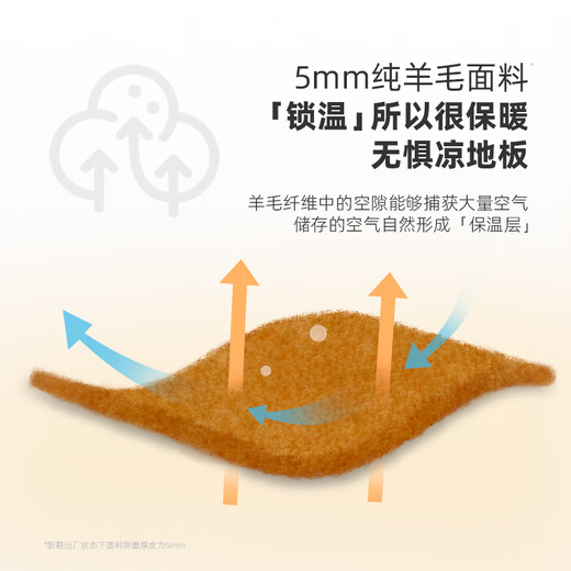 Little Velvet High Top Velcro Bear 0-3 Years Old Infants and Toddlers Pre-Toddler Shoes Cartoon Home Floor Shoes Wool Warmth