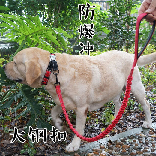 Impulsion à l'épreuve à l'épreuve de la main de la main Labrador Golden Retriever Medium et grande chaîne de chiens Boucle en acier à col doux Attache de nuit verte fluorescent Réflexion de nuit 1585jin [Jin est égal à 0,5 kg] circonférence érectile 3057 cm