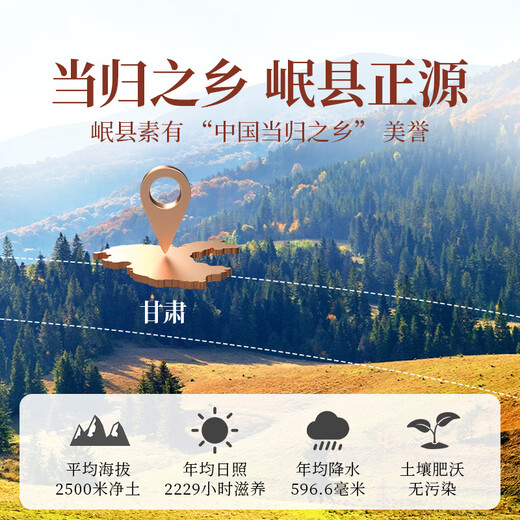 贡苑甘肃岷县当归片105g 无硫当归头切可磨粉泡水搭黄芪红枸杞党参