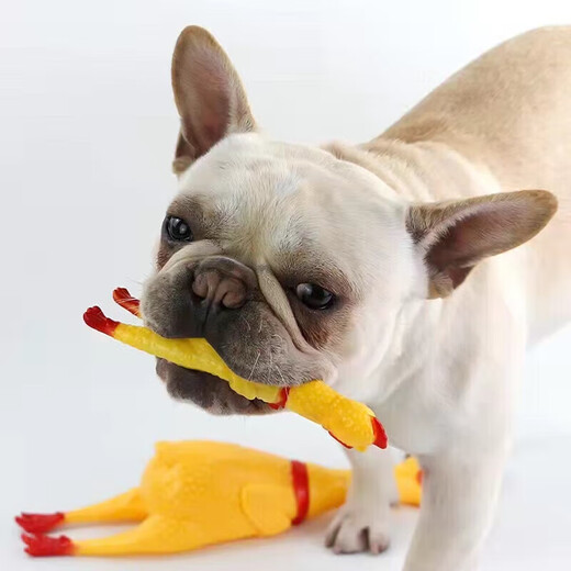 Screaming Chicken Screaming Chicken Dog Resistant Bite Toy Chicken Desperate Fighting Chicken Pet Sounds Single Pack Screaming Chicken Single Pack