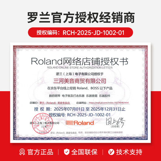 Roland Elektronische Drum TD07KV/TD07DMK Drum Adult Children Praxis Unterhaltungsunterhaltung Professional Performance Grade Examination Elektrische Trommel 5 Drum 4 Zymbals 07dmk + PM100 Lautsprecher + Geschenkpaket